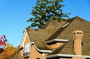 Buckley roof moss elimination in WA near 98321