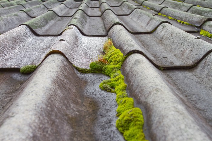 Control-Roof-Moss-Spanaway-WA