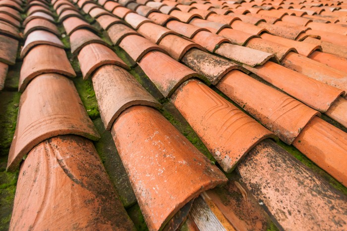 Tile-Roof-Moss-Control-Lakewood-WA