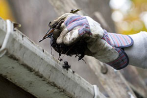 Best Fircrest roof cleaning services in WA near 98466