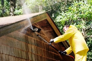 Premium Buckley roof moss removal in WA near 98321