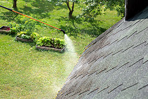 Superior Lake Tapps roof moss treatment services in WA near 98392