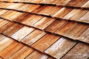 roof-cleaning-edgewood-wa