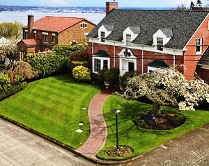 Roof-Moss-Lakewood-WA